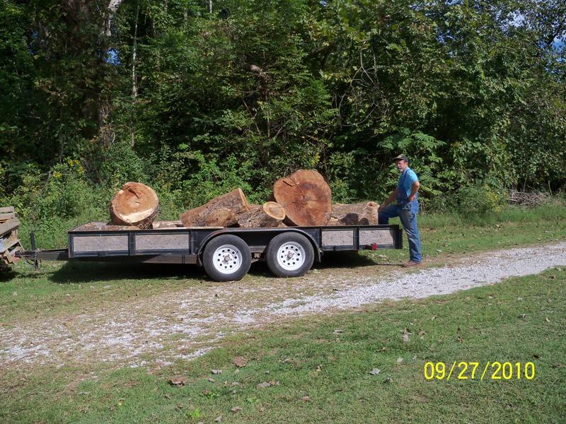 Logging 009web.jpg