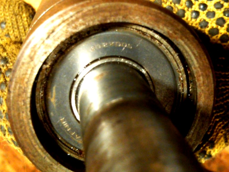 IMG01385-20101122-1743.jpg