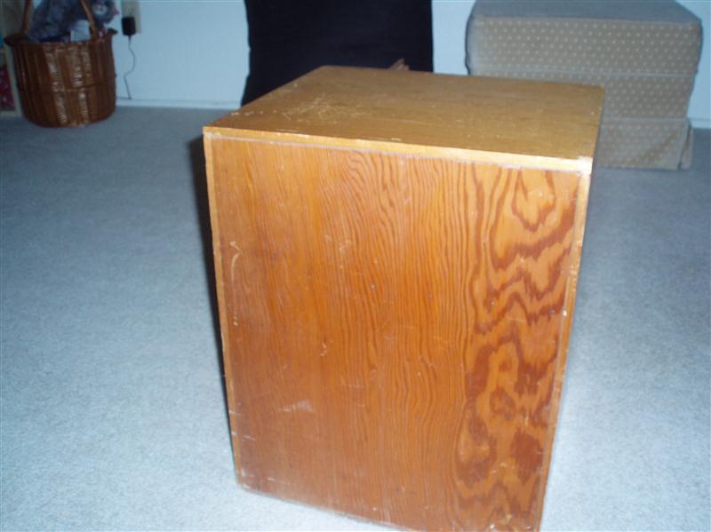 Skate Case 003 (Custom).JPG
