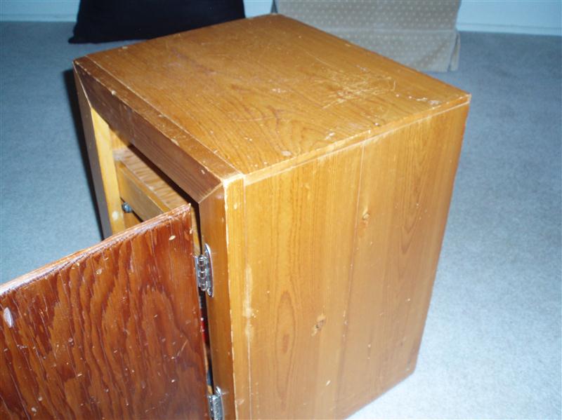 Skate Case 004 (Custom).JPG