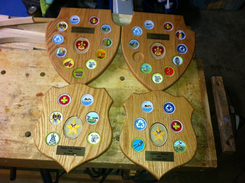 Scout Plaques lr .JPG