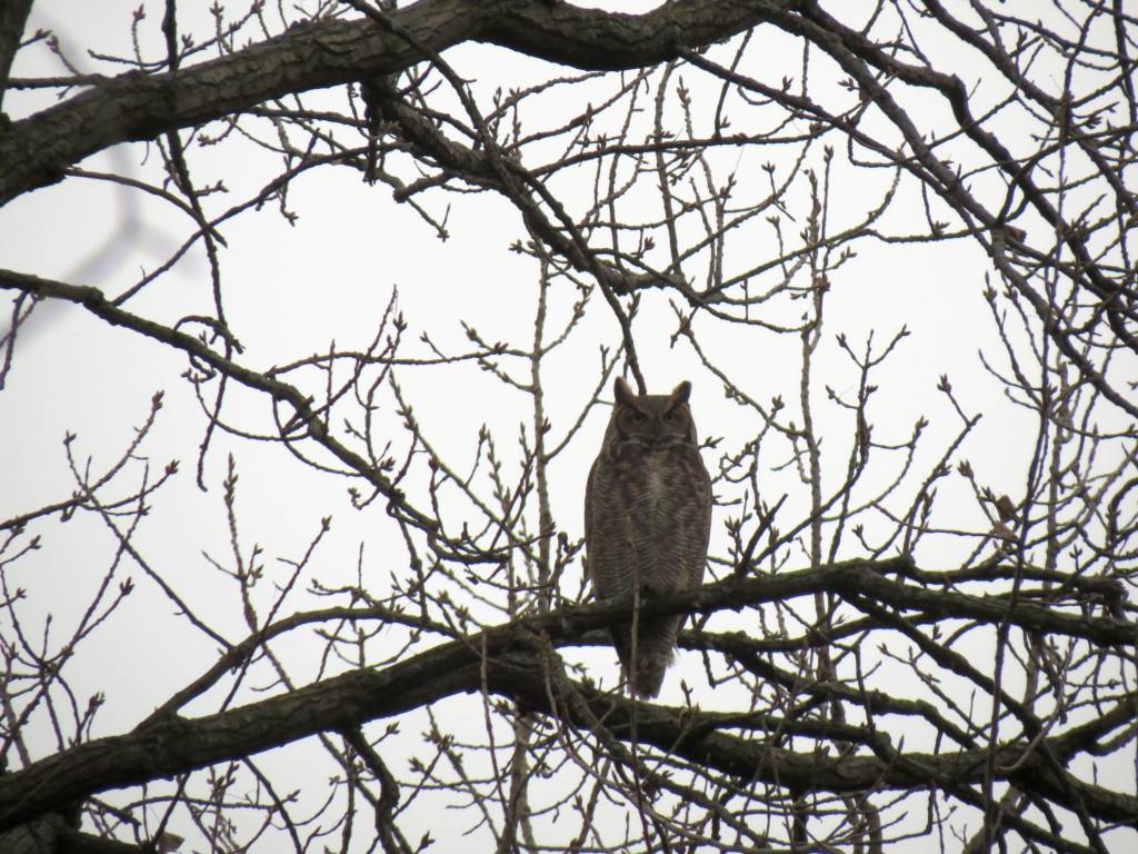 IMG_0222asc.jpg