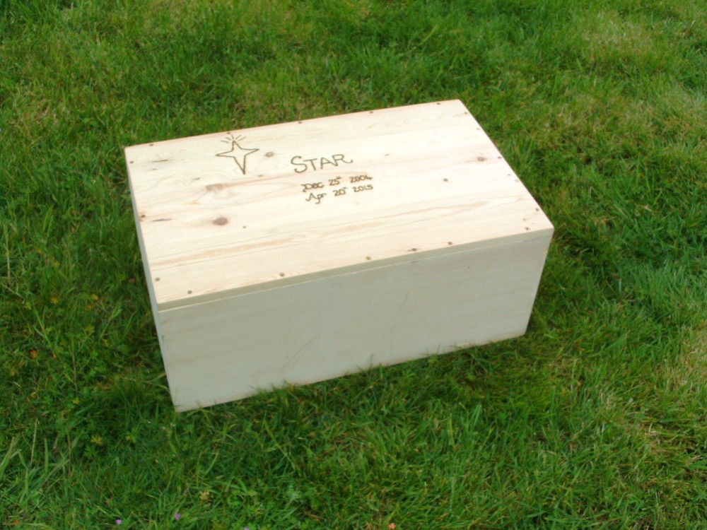 star casket.JPG