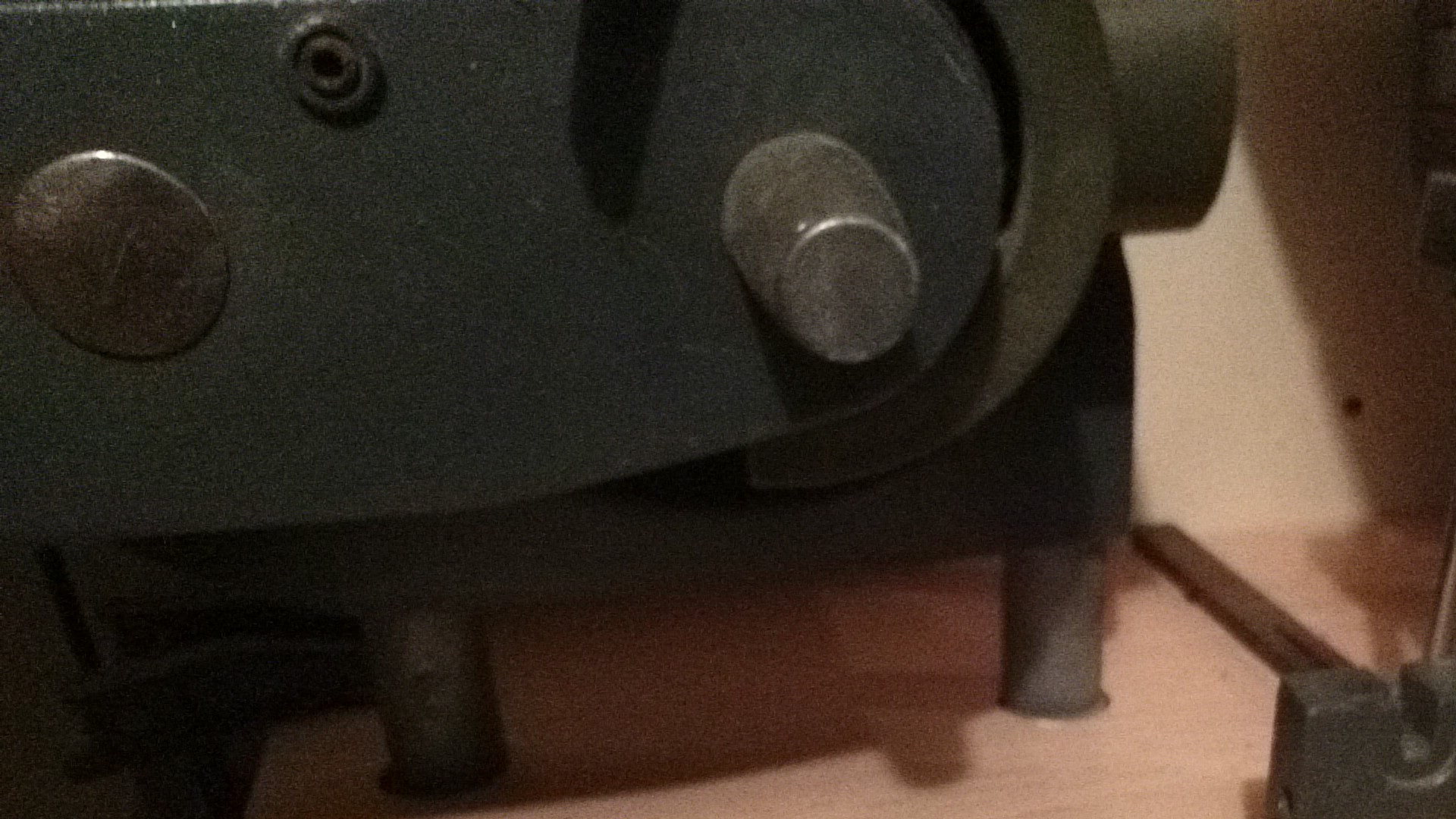 closeup 2.jpg