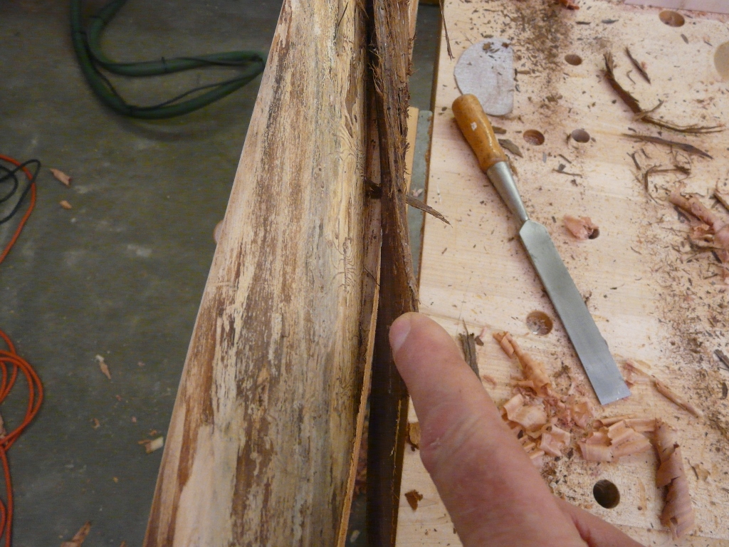 There was a lot of loose bark.