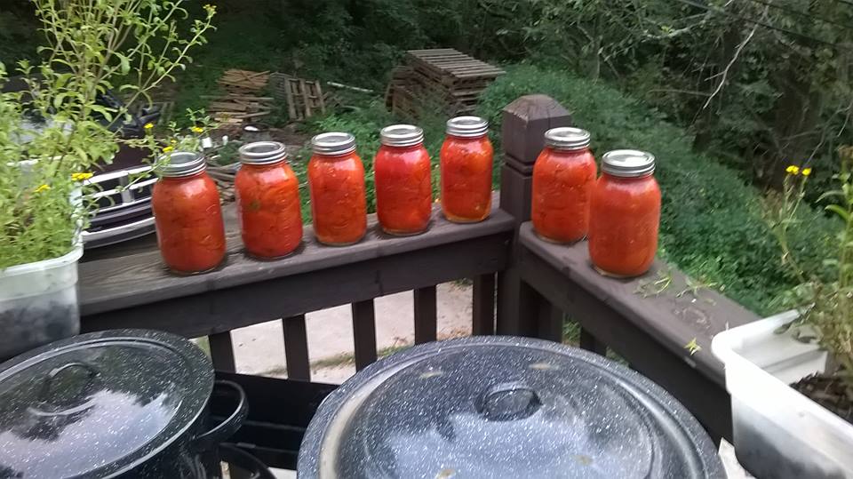 canned.jpg