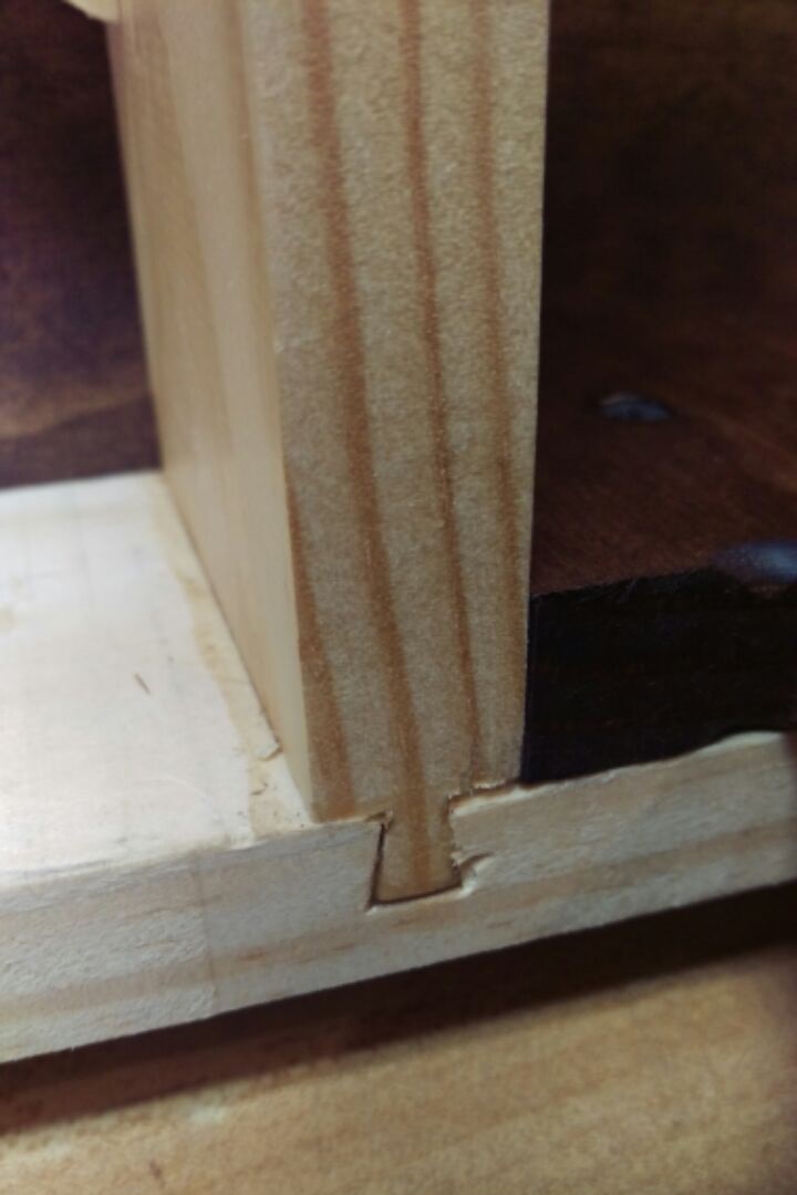 IMAG02481.jpg