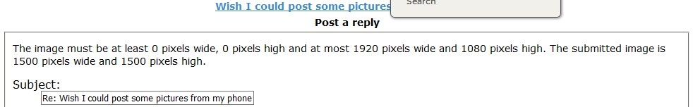 Max pix.jpg