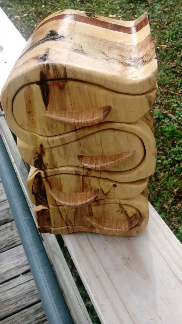 dogwood SS D.jpg