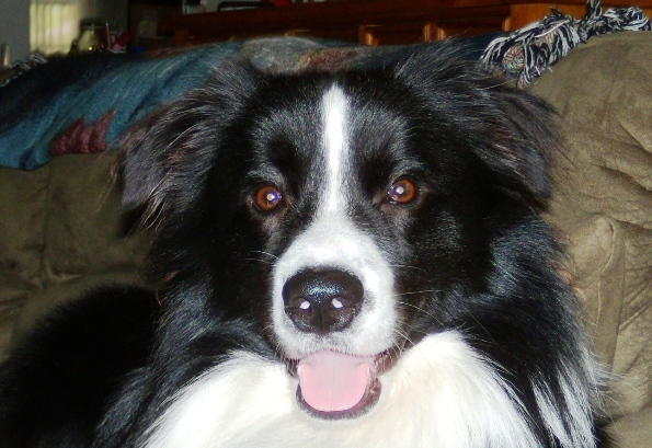 Chips face 006.jpg