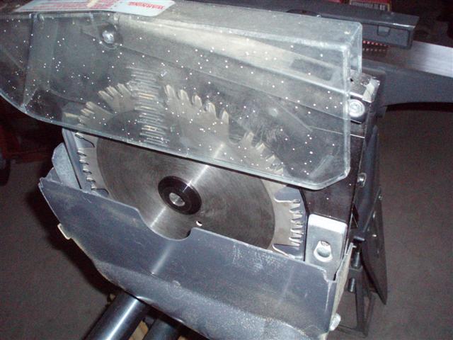 P6240008 (Small).JPG