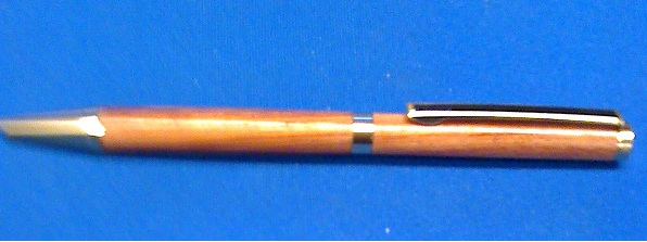 First Pen.jpg