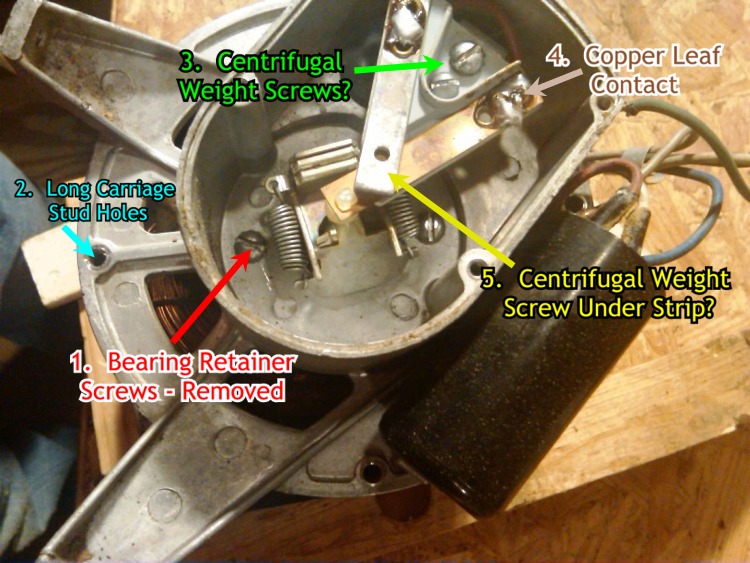 Motor Wire End Annotated.jpg