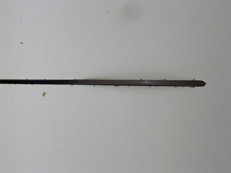 P1030557.jpg