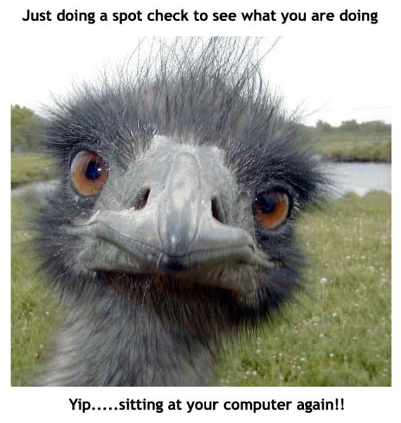 Just Checking.jpg