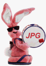 bunny.gif