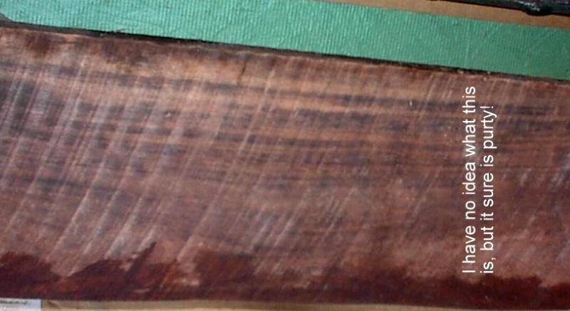 DSC00012.JPG