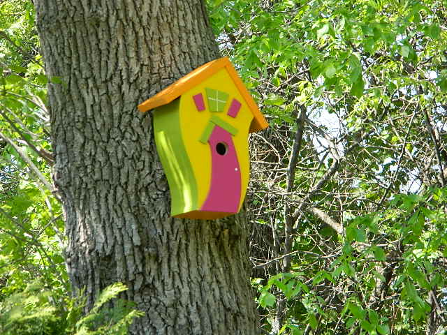Wild & Wacky BirdHouse.jpg