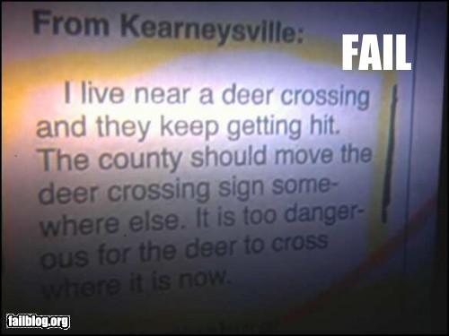 deer crossing.jpg