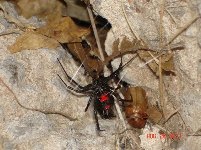 DSC02692.JPG
