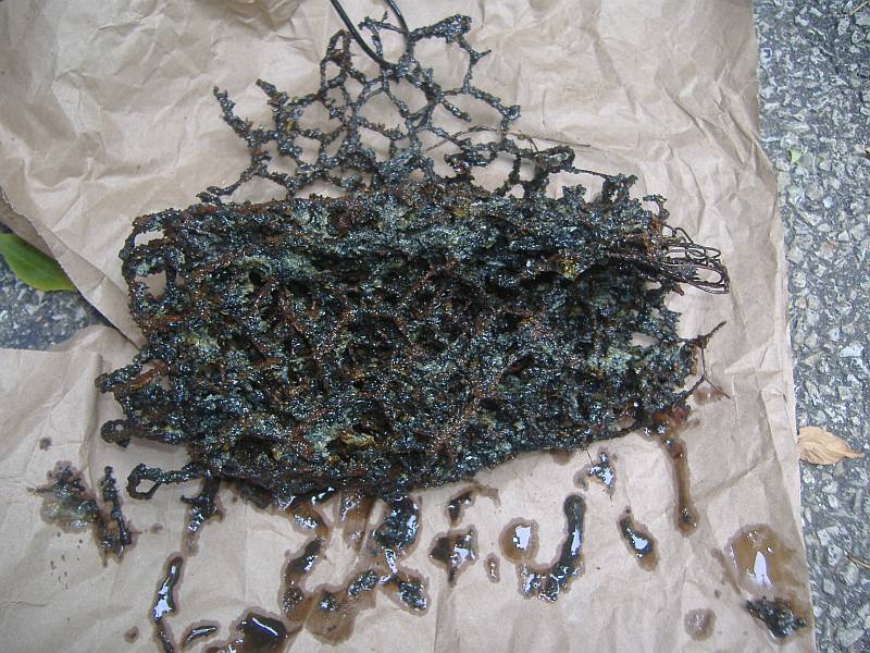 DSCF2075sc.jpg