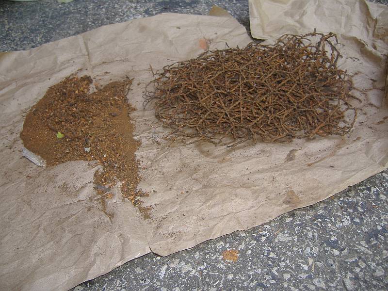 DSCF2117sc.jpg