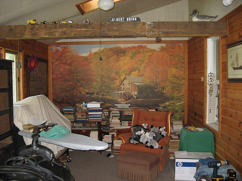 Den area.JPG