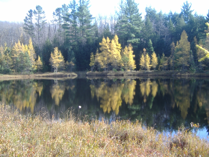DSCF2683scss.jpg