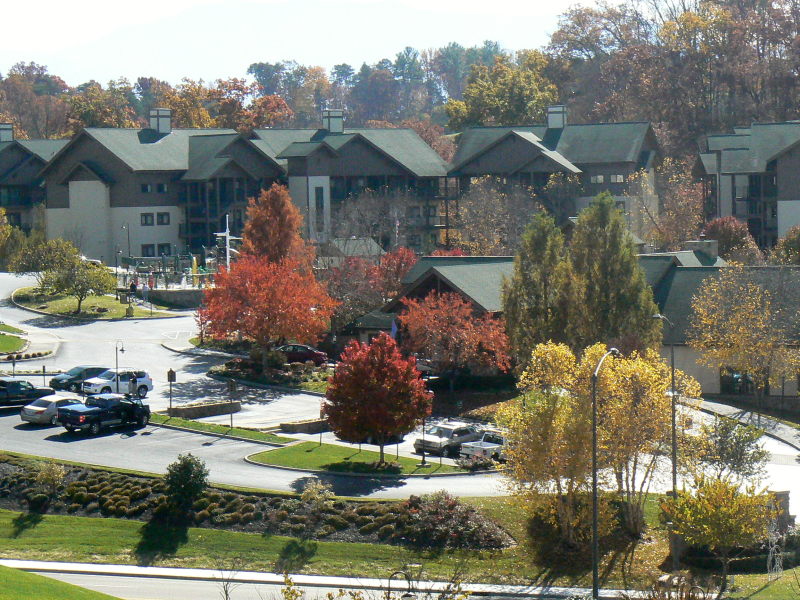 fall 2011T.jpg