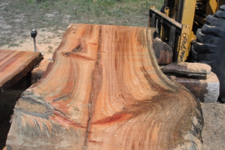 Wide Planks 011.JPG