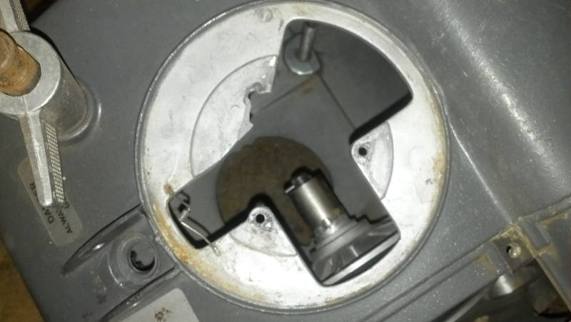 Image 1.jpg