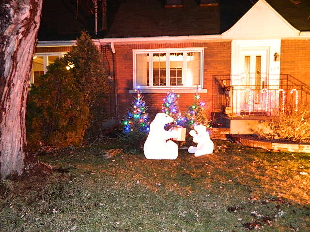 DSCN0389.JPG