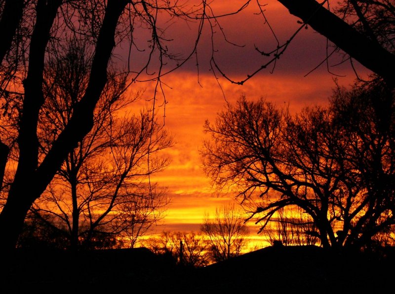 sunset.jpg