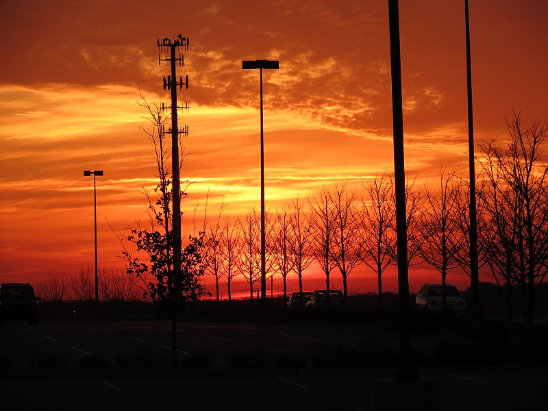 IMG_1234_s_sc.jpg