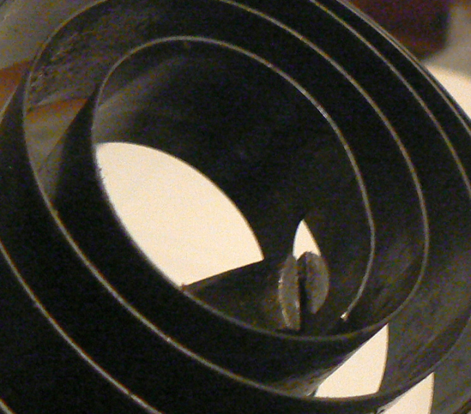 QUILL SPRING STRAIGHTENING.jpg