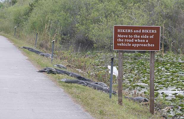 Sign-011-Hikers_And_Bikers_To_The_Side_Of_The_Road.jpg