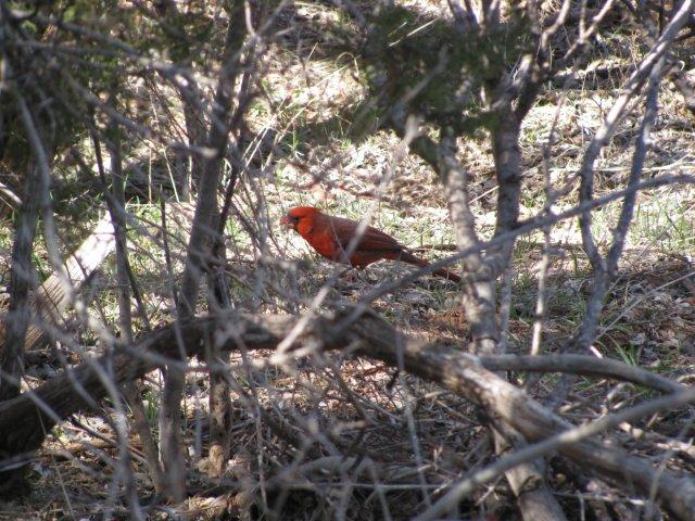IMG_0584.jpg