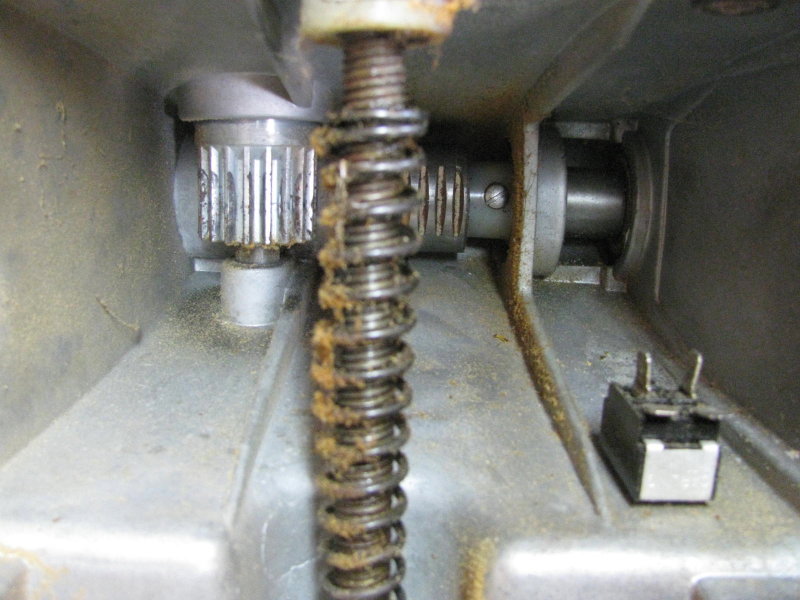 inside headstock.jpg