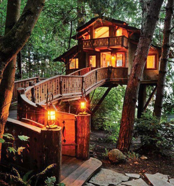 temp tree house.jpg