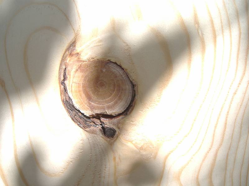 DSCF3013sc.jpg
