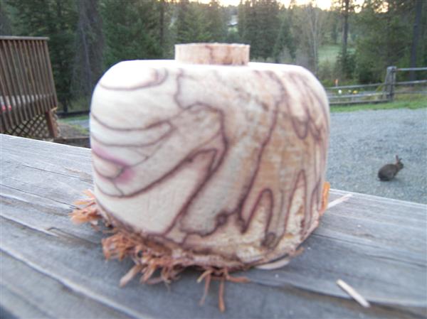 Birch bowl 1a.JPG