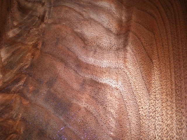 SS 003.jpg