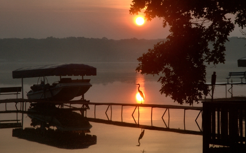 SunriseHeron2.jpg