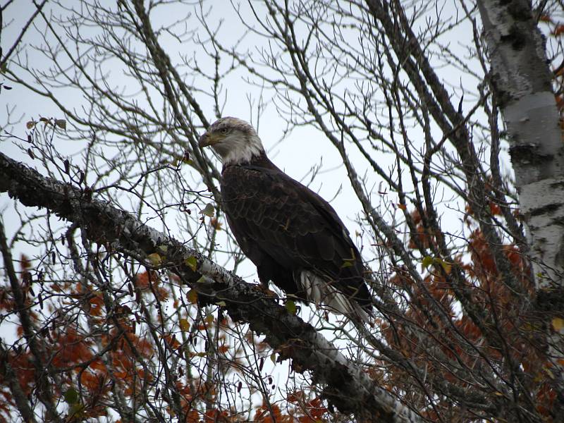 IMG_6425sc.jpg