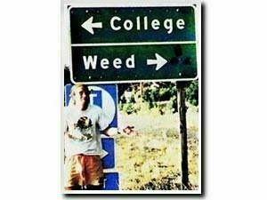 college-weed.jpg