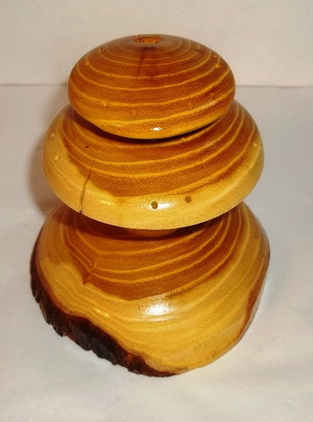 100_1870b.JPG