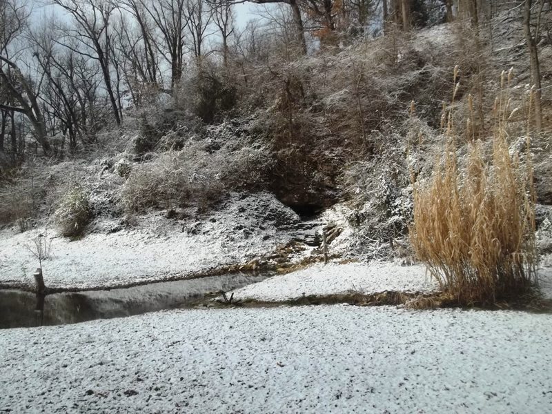 Snow 122912 Web1.JPG