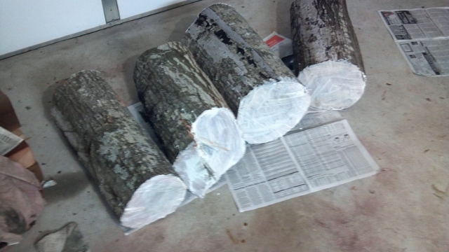 2013-01-16_21-02-35_188 (640x360).jpg