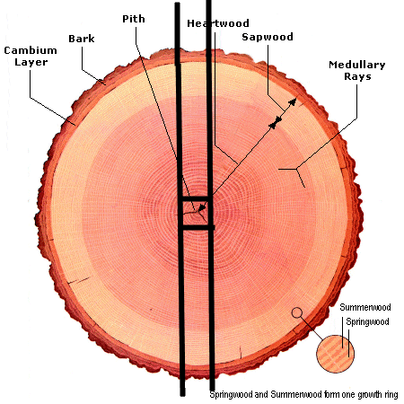 logcross_section.gif