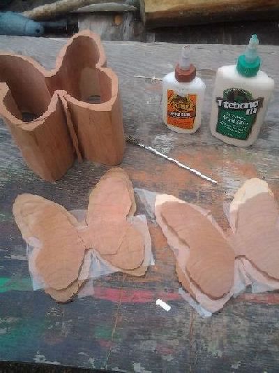 butterflyglueupB.jpg